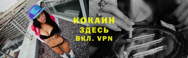 эйфоретик Белокуриха