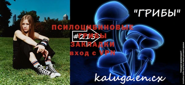 эйфоретик Белокуриха