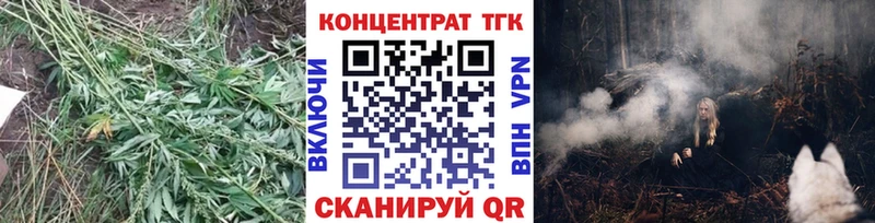 ТГК вейп с тгк Барнаул